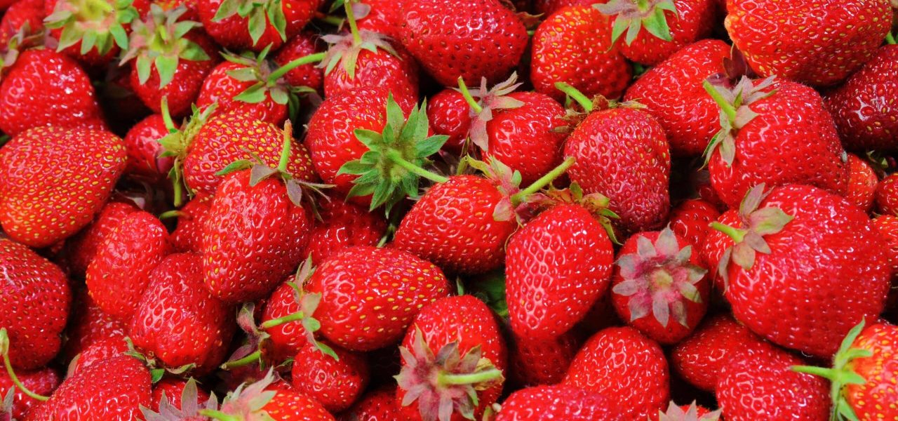 fraise-naturopathie
